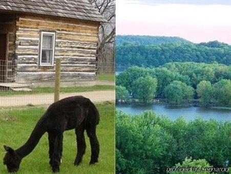 Galena Log Cabin Getaway Экстерьер фото